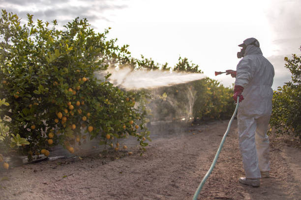 San Lorenzo, CA Pest Control Company